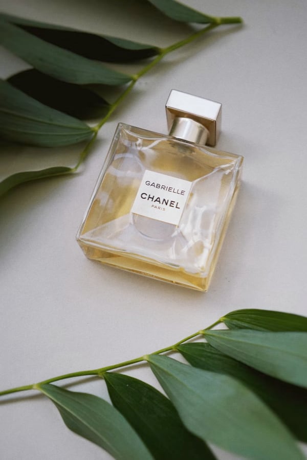 Gabrielle Essence Eau De Parfum in a square bottle on a gray background with green leaves on the top left and bottom right